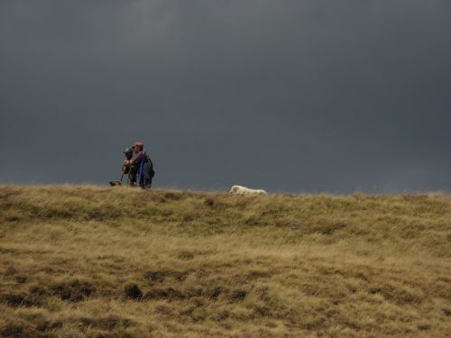 trekking con i muli-193.jpg